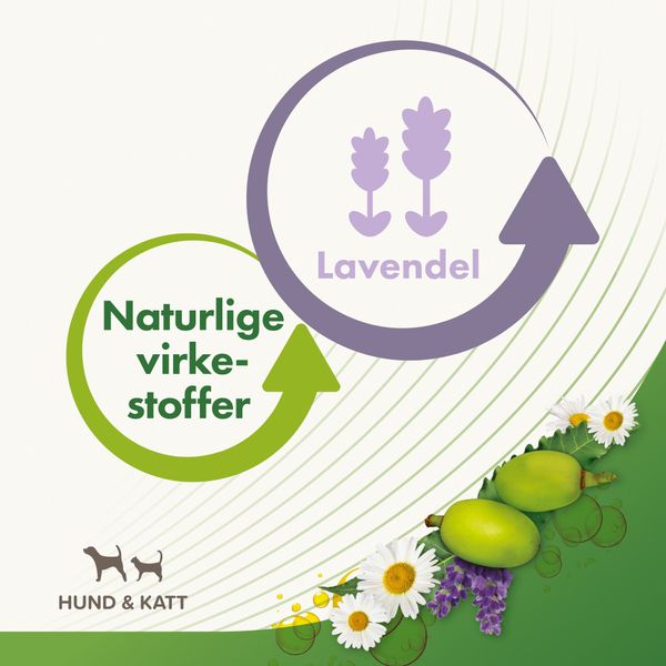 Hovedbilde Bio flått- og loppemiddel - håndskum til hund og katt