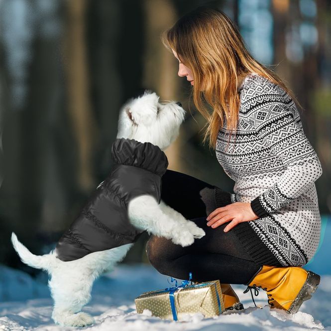 Hovedbilde Sort boblejakke til hund
