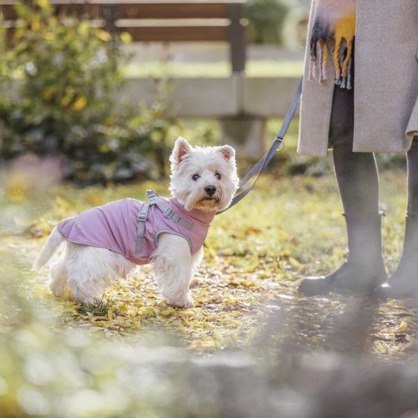 Hovedbilde Rosa regndekken med integrert sele til hund