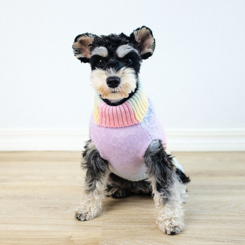 Pastell regnbue ombre strikket hundegenser 