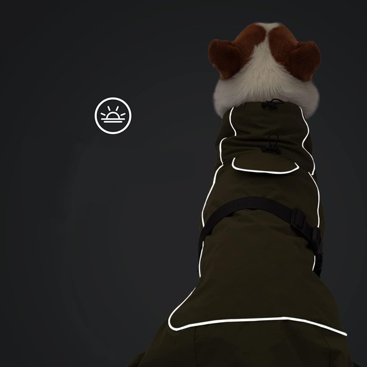 Mørkegrønt vannavvisende hundedekken med fleece