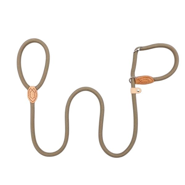 Hovedbilde Beige slip-lead hundelenke med halsbånd - 2 str