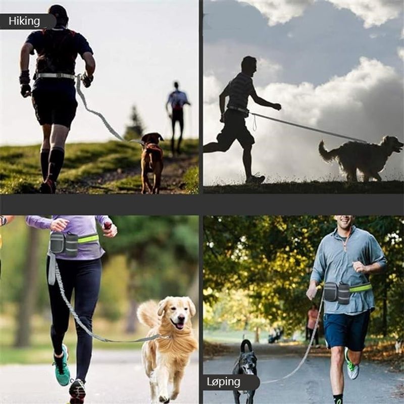 Joggebelte med lenke, hundeposeholder og snackslomme